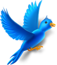 bird,twitter