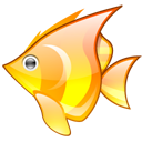 animal,fish