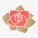 Rose,flower