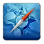 Browser
