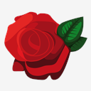 rose