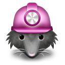 wordmole