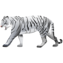 tiger,white