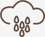 rainy