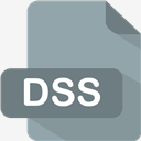 DSS