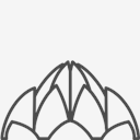 india,lotus