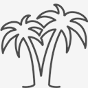 palms