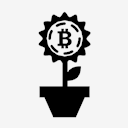 bitcoin,flower,pot