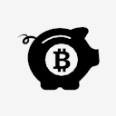 bitcoin,safe,pig