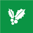 mistletoe