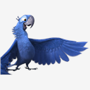 Rio,BLU