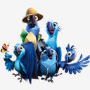 Rio,Family
