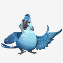 Rio,mimi