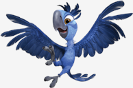 Rio,Tiago
