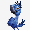 Rio,TIAGO