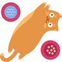 percent,cat