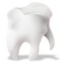 odontology,tooth