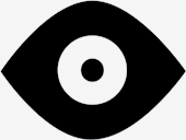 eye,icon