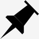 pin