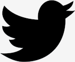 twitter,bird