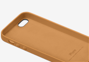 cases,interstitial