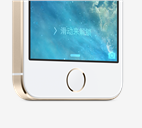 touchid,interstitial