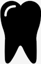 teeth