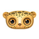 animal,leopard
