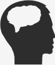 brain