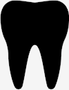 teeth