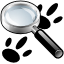 find,search