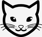 kitty