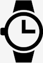 wristwatch