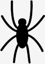 spider