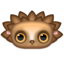 animal,hedgehog