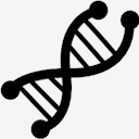 dna