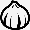 onion
