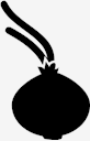 onion
