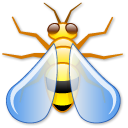 bug,wasp