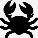 crab