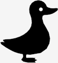 duck