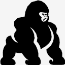 gorilla