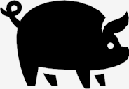pig