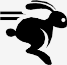 running,rabbit