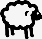 sheep