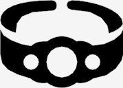 championship,belt