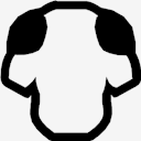 shoulders