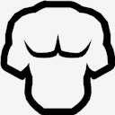 torso