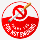 Thank,you,for,not,smoking,icon