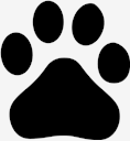baidu